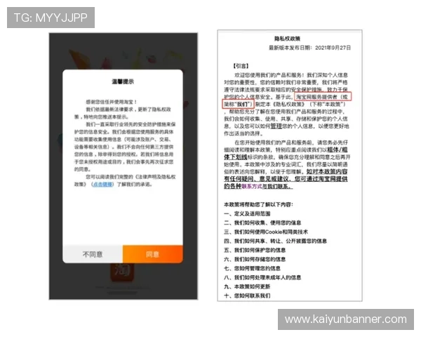 开云网app隐私政策与数据安全保障措施全面解读
