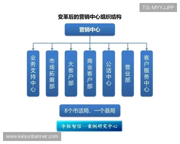 提升购物效率的开云链接入口使用指南，帮助用户便捷操作和客服支持