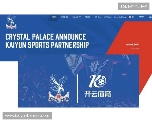 探索开云体育网页版登录的最佳实践,避免常见错误与陷阱